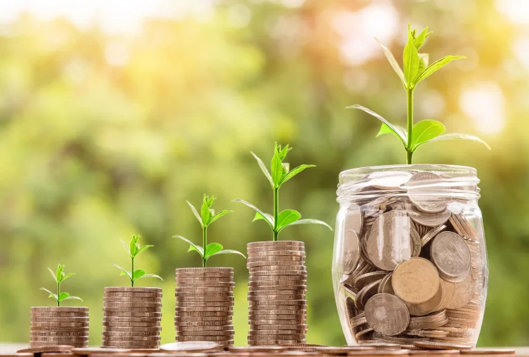 Low Cost Franchise Opportunity