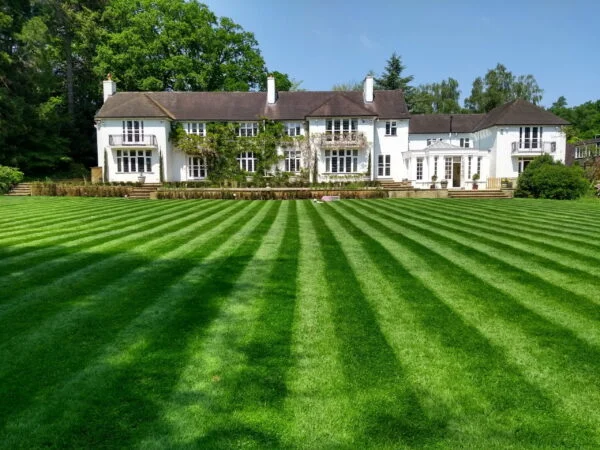 Lawn care specialists Cornwall